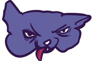 Drunk Confident Logo